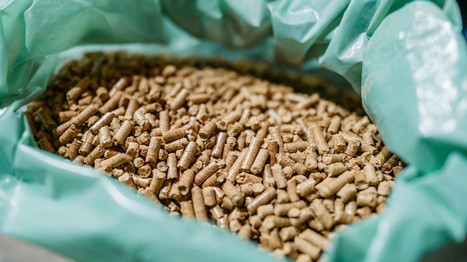 Holzpelletpreise in Deutschland erreichen zum Heizsaisonstart neue Höchststände