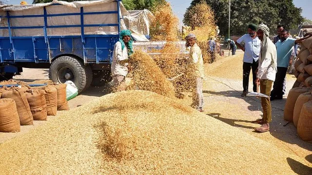 La demanda exportadora lleva el arroz paddy basmati 1509 de Haryana a un récord de 4.400 rupias por quintal