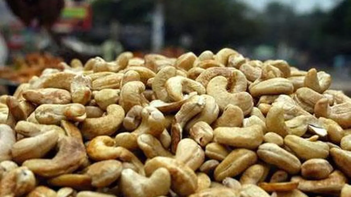 Hohe Mandel- und Pistazienpreise lenken Indiens Trockenfruchtnachfrage zu Cashews