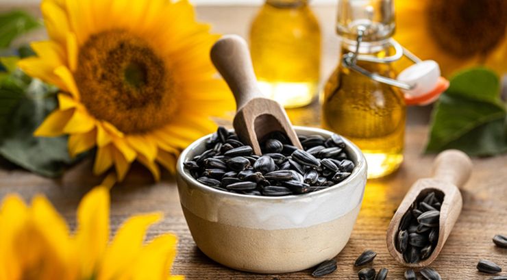 Prämie für High-Oleic-Sonnenblumen in der Ukraine verschwunden, Europa zahlt weiter bis zu 100 Euro je Tonne