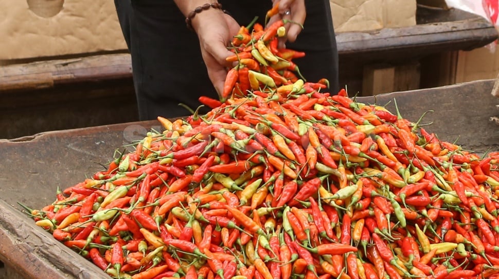 Chilipreise treiben Indonesiens September-Inflation auf 0,30 %