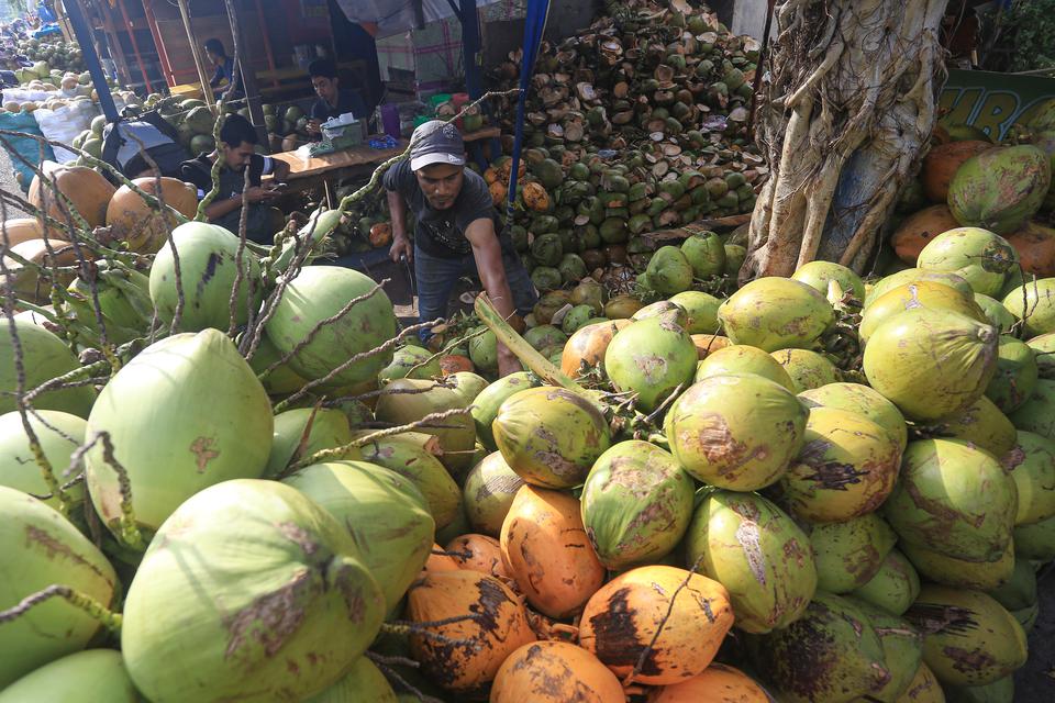 Indonesien treibt Kokos-Weiterverarbeitung auf 151.554 Hektar in 28 Provinzen voran