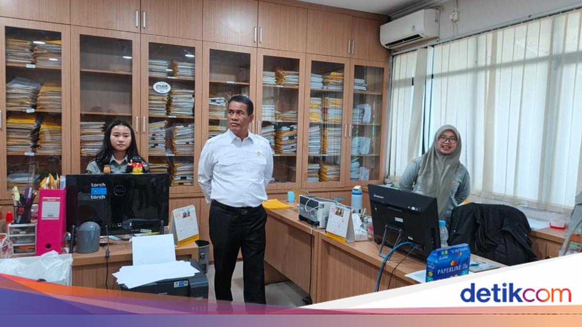 Indonesia estudia exportar arroz a Filipinas, Papúa Nueva Guinea y Timor-Leste