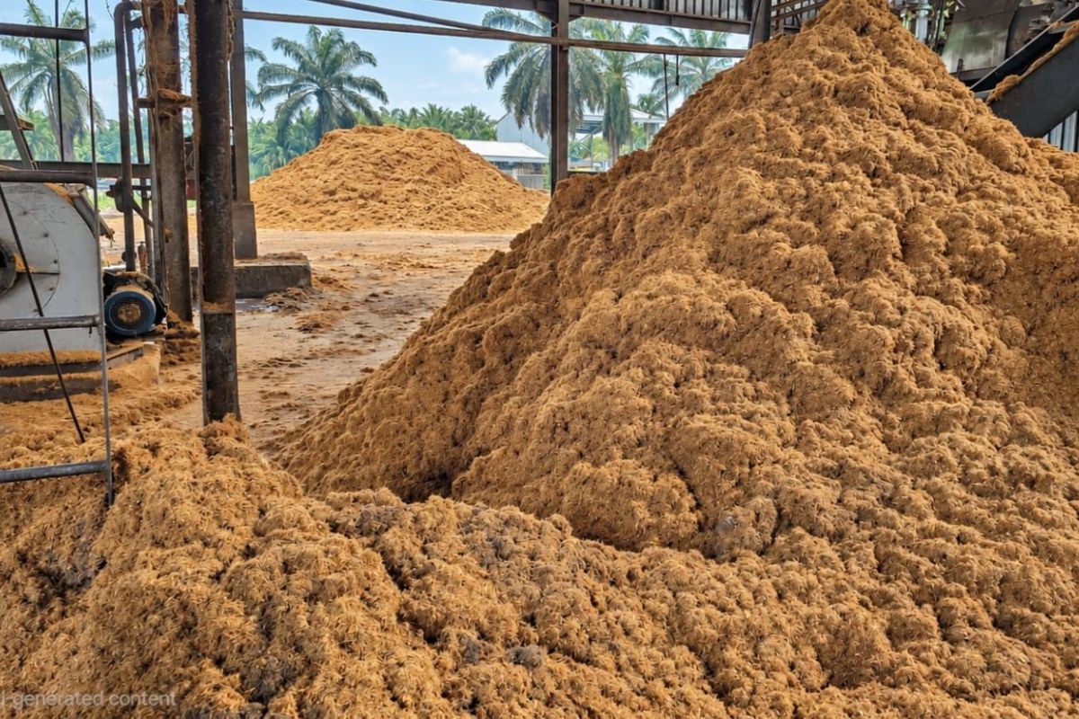 La logística y el procesamiento frenan la biomasa de palma en Indonesia