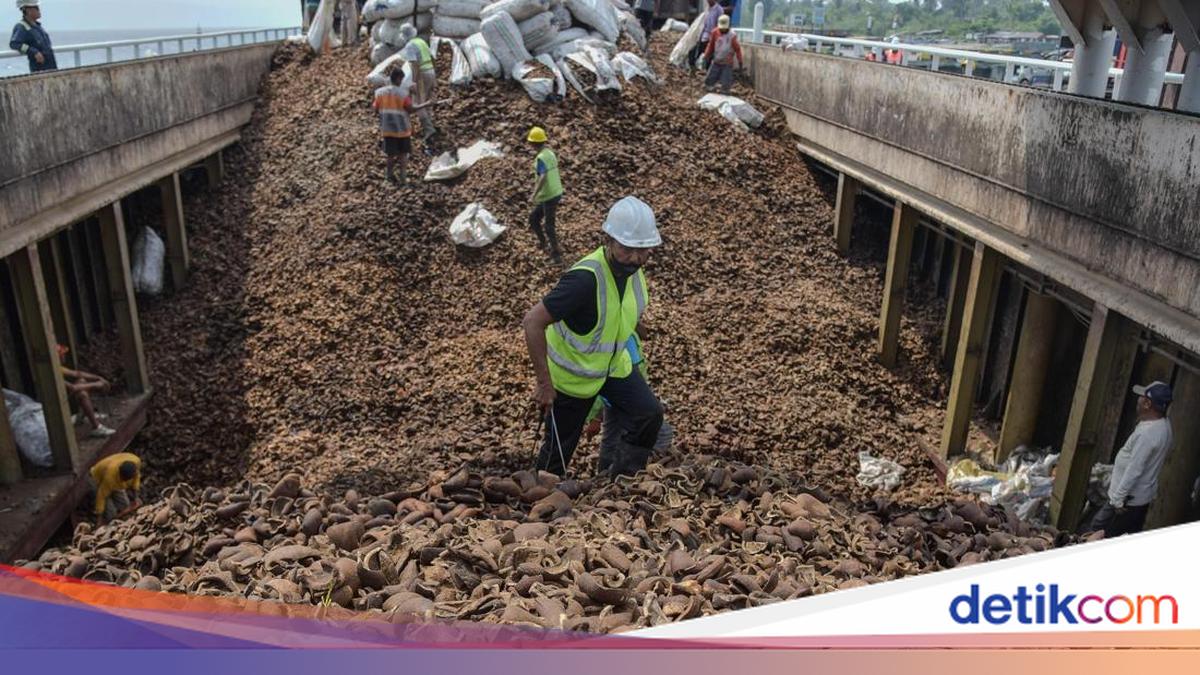 Indonesia apunta a producir 2,86 millones de toneladas de copra en 2028