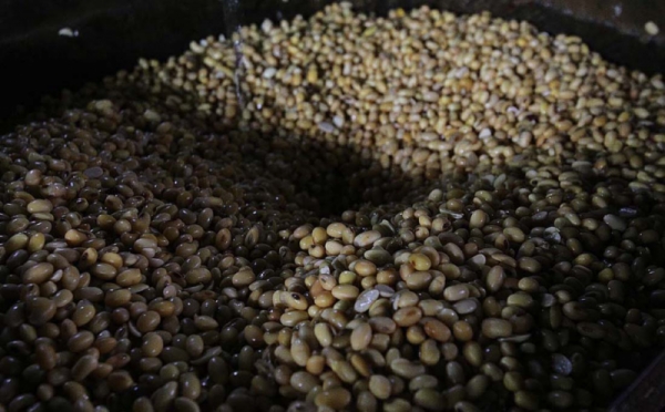 Indonesia estudia subsidiar la soja tras alcanzar 13.700 rupias por kilogramo