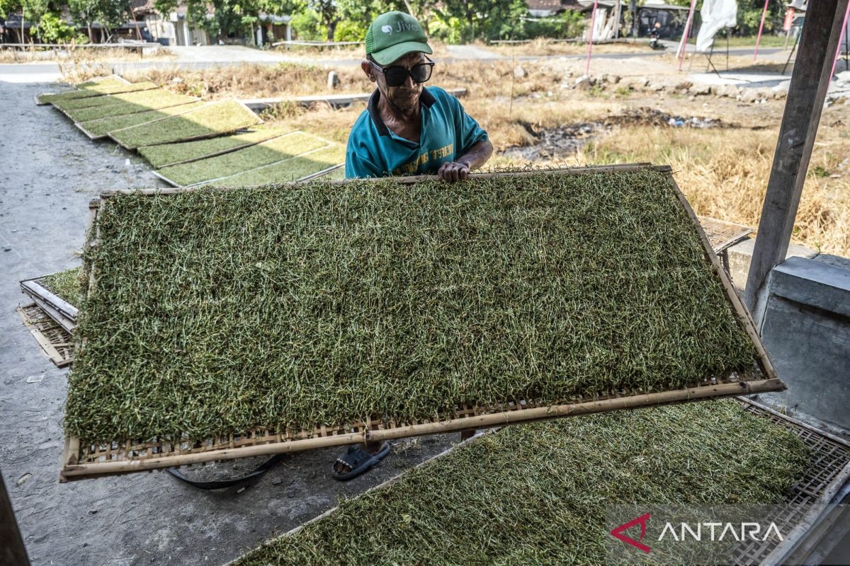 Grupos indonesios rechazan las normas propuestas para el tabaco y los cigarrillos kretek