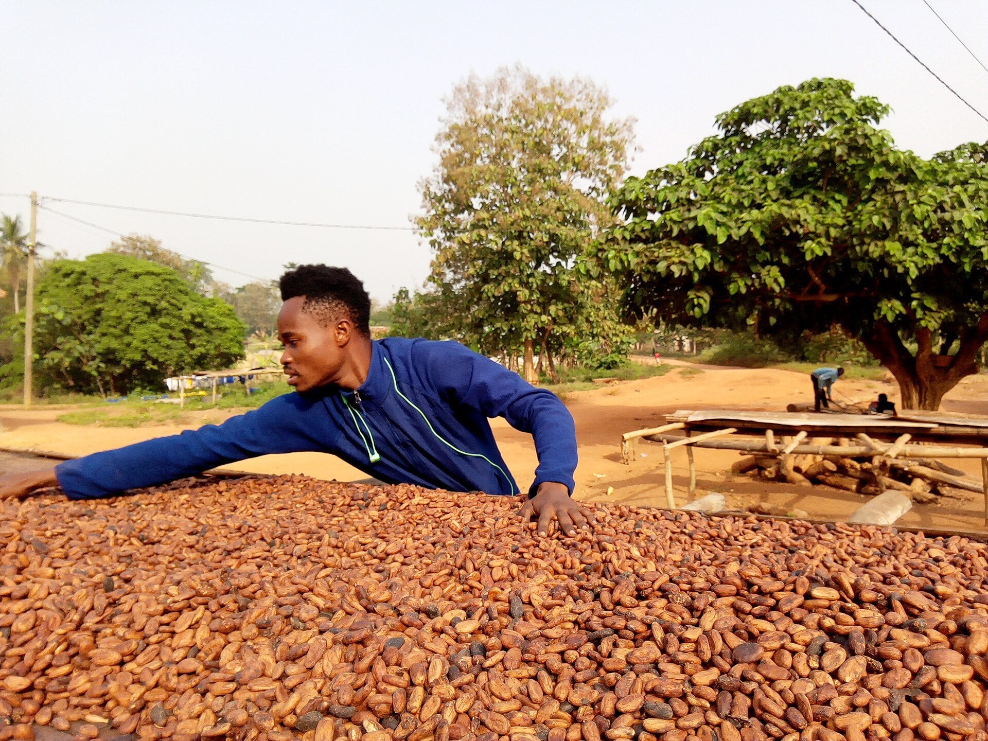 Johnvents: Nigerias Kakaowerke liefen im ersten Halbjahr 2026 mit 82% Kapazität