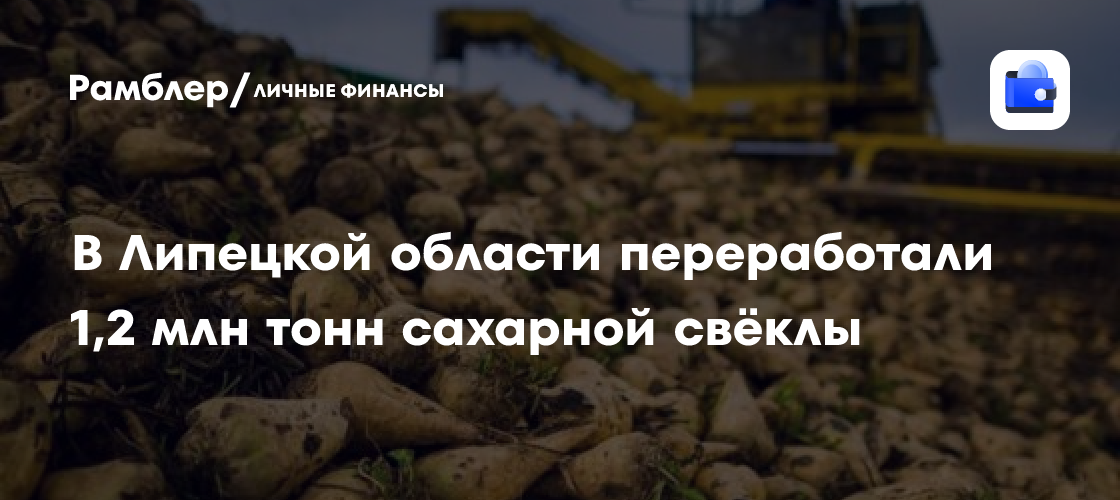 La región de Lípetsk procesa 1,2 millones de toneladas de remolacha en seis plantas