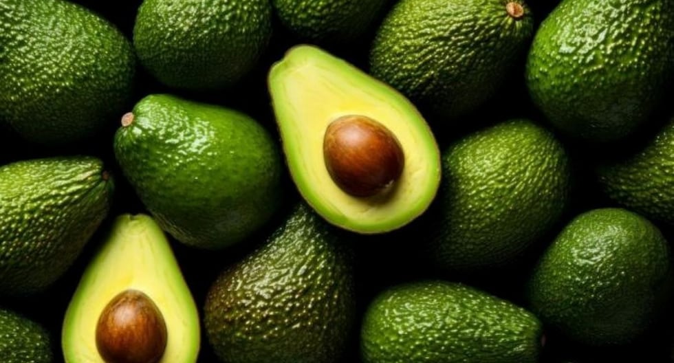 Mehadrin proyecta elevar a 1.000 hectáreas sus cultivos propios de palta en Perú