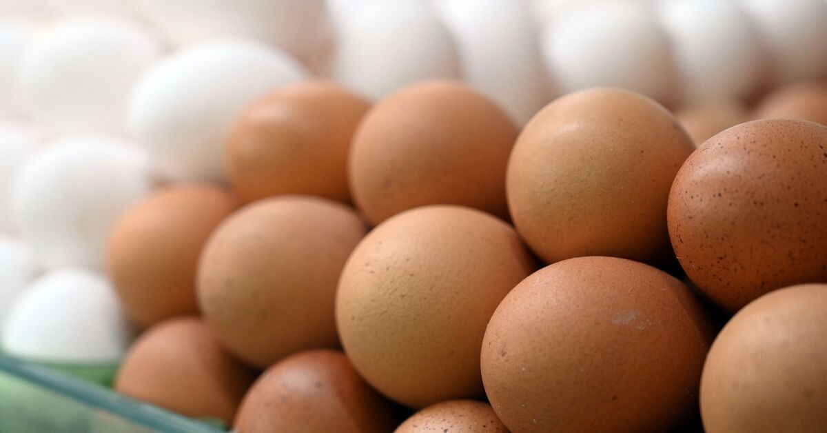 La producción de huevos de Minas Gerais crece un 4,9% y supera el ritmo de Brasil