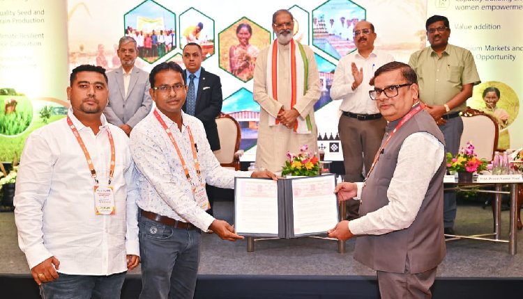 Odisha planea multiplicar por más de ocho el cultivo de arroz nutritivo