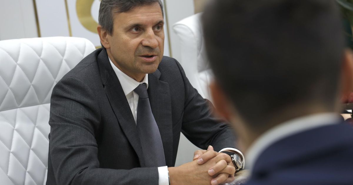 Petkorm proyecta una planta de alimento para mascotas de 4.000 millones de rublos