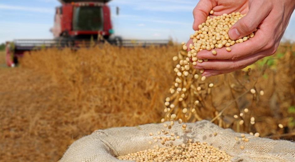 Caen las importaciones polacas de aves y maíz del Mercosur, pero suben las de soja