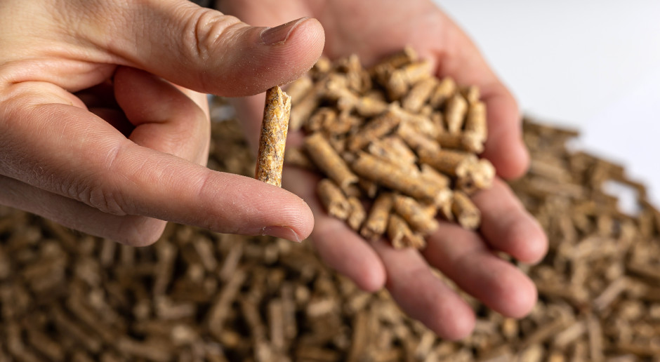 El pellet de madera alcanza los 2.600 eslotis por tonelada en Polonia