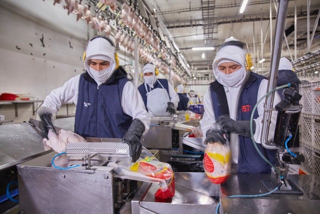 Pronaca bereitet Hühner- und Schweinefleischlieferungen in die VAE vor und prüft Preisfähigkeit in China