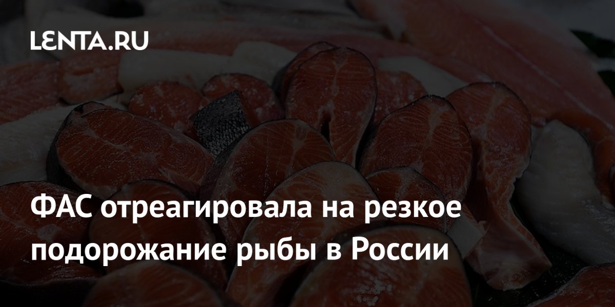 Russlands Kartellbehörde FAS beobachtet Fischpreise: Buckellachs plus 97 Prozent