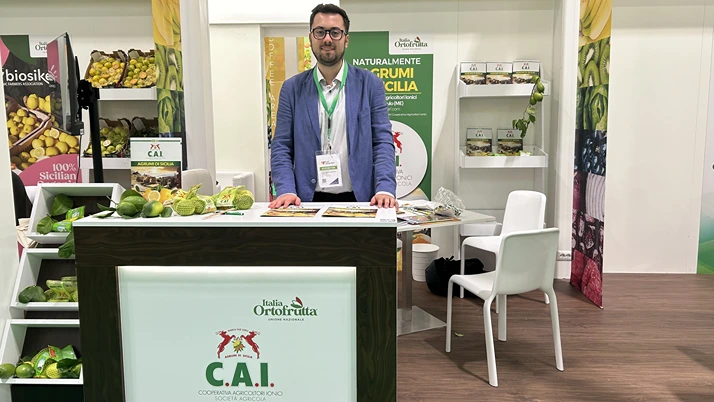 Aumentan los volúmenes de limón Primofiore siciliano y crece la presión sobre los precios
