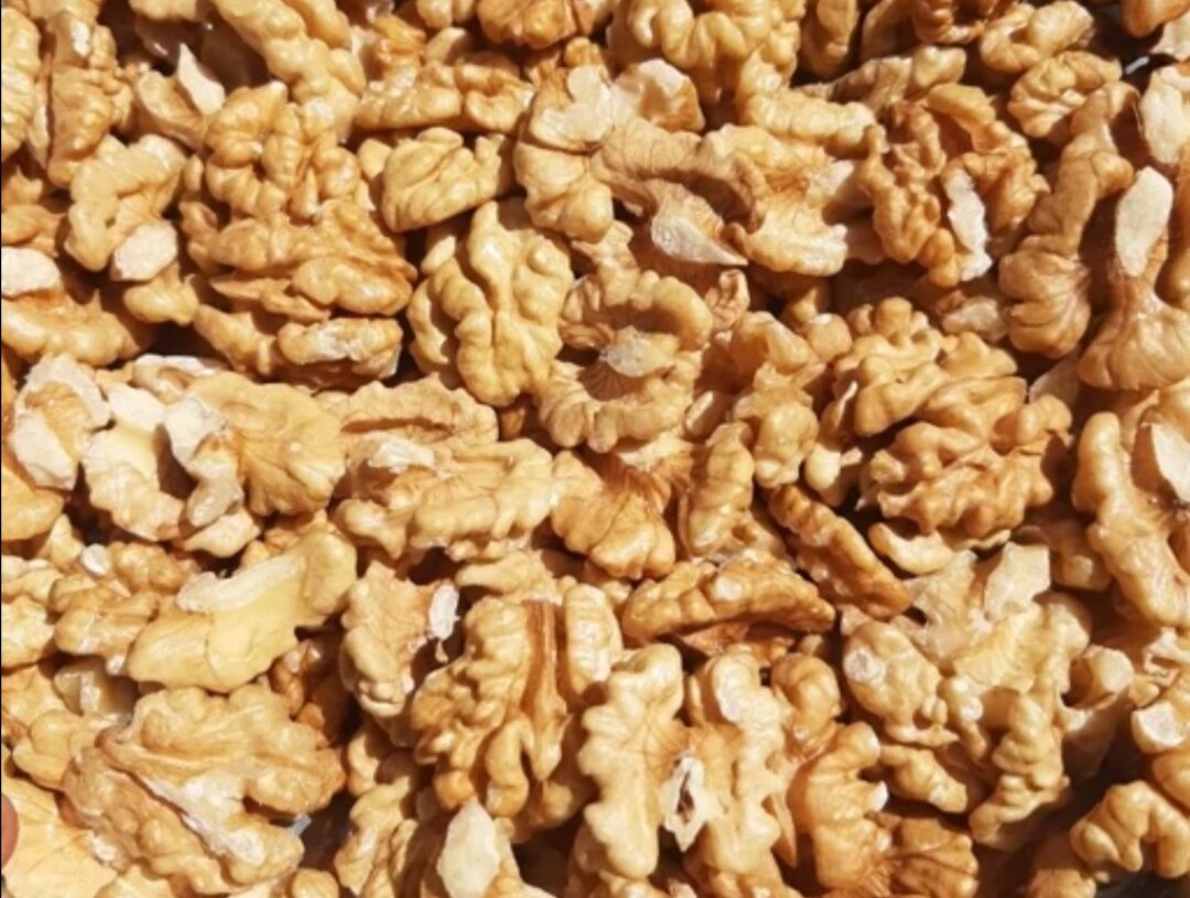 Tuyserkan cosecha 24.000 toneladas de nueces en unas 8.300 hectáreas