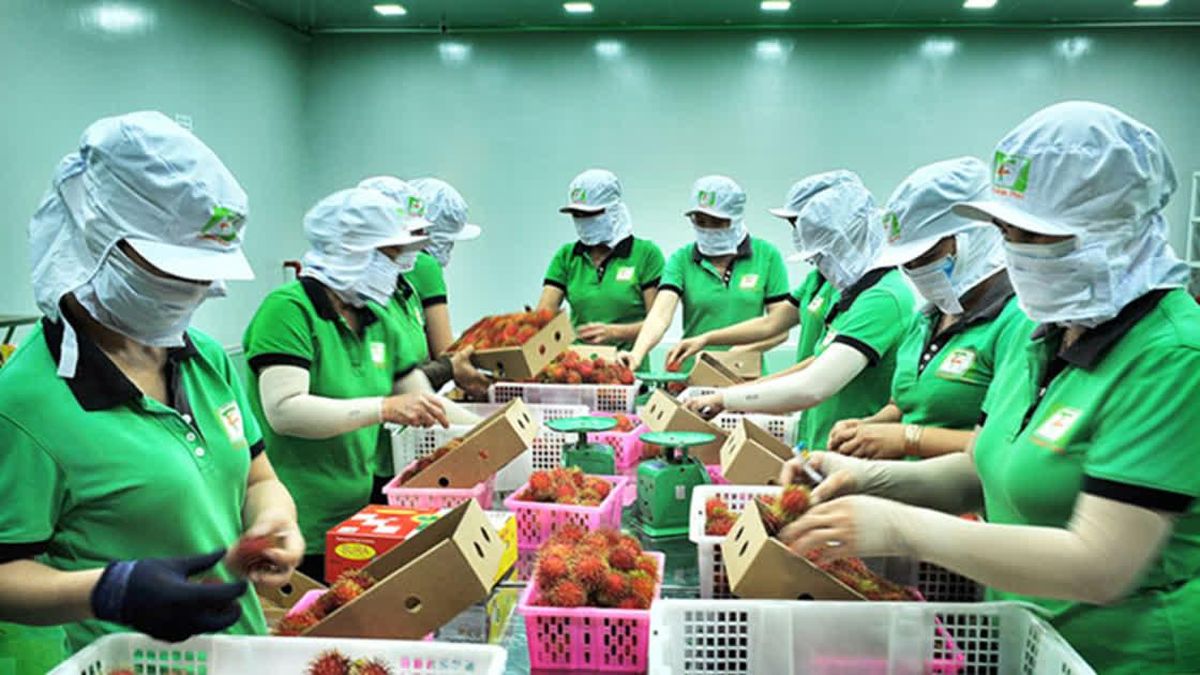 Vietnam hält trotz 88 % Exportwachstum nur 2,7 % des australischen Importmarkts von 308 Milliarden US-Dollar