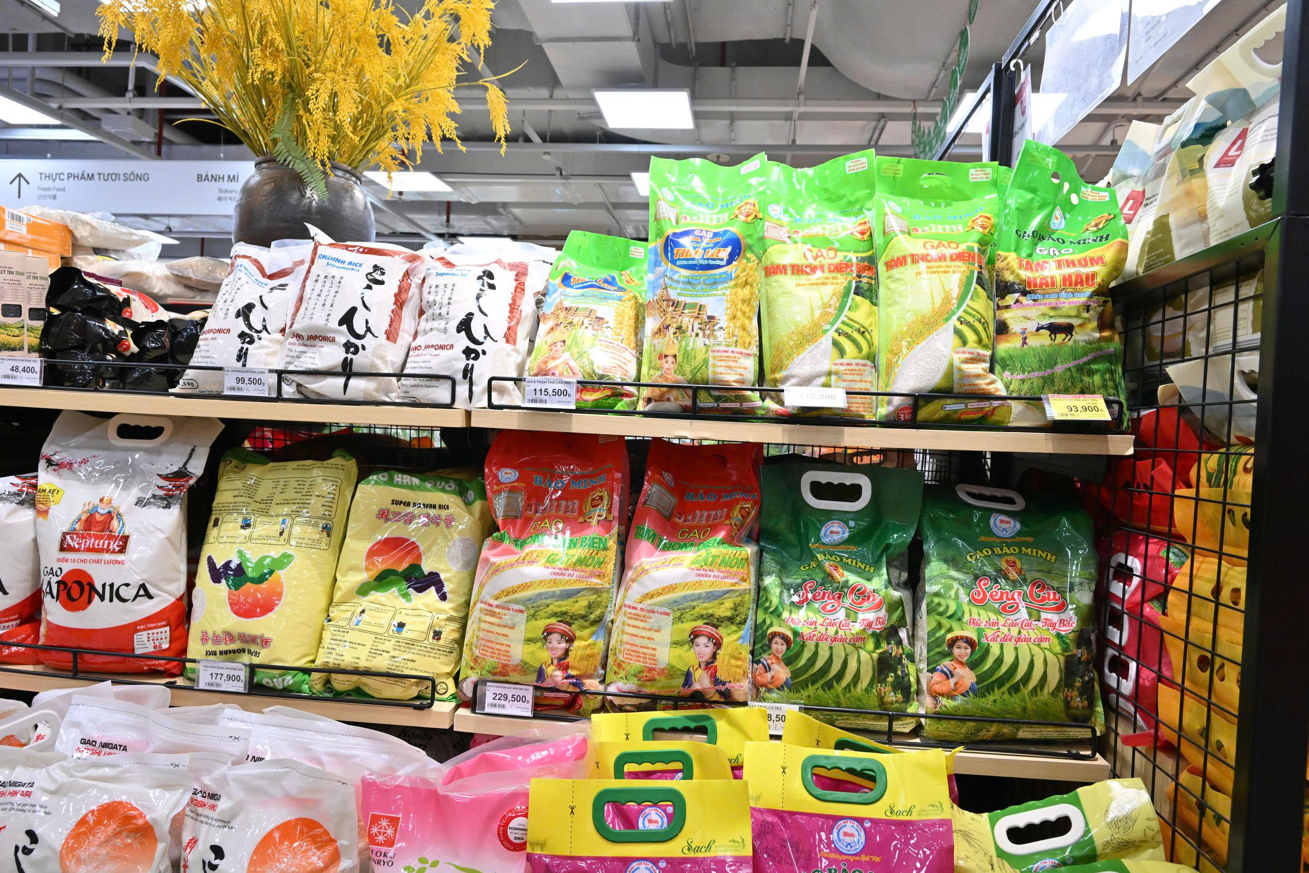 Vietnam establece nuevas reglas para contratos, informes y calificación de exportadores de arroz