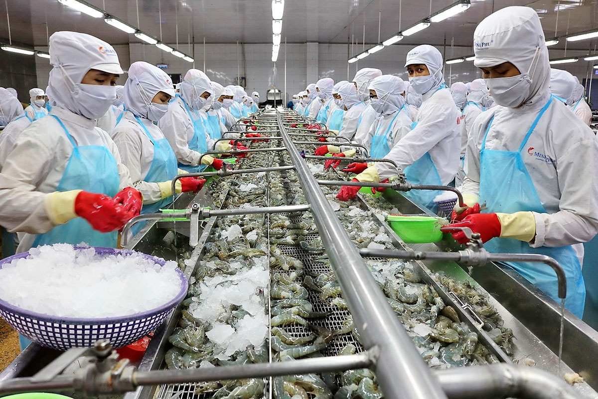 Vietnams Fischwirtschaft nutzt UKVFTA und CPTPP für den britischen Markt