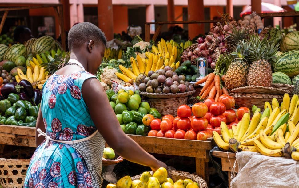Trigo e milho atingem máximas de vários anos e renovam risco de inflação alimentar