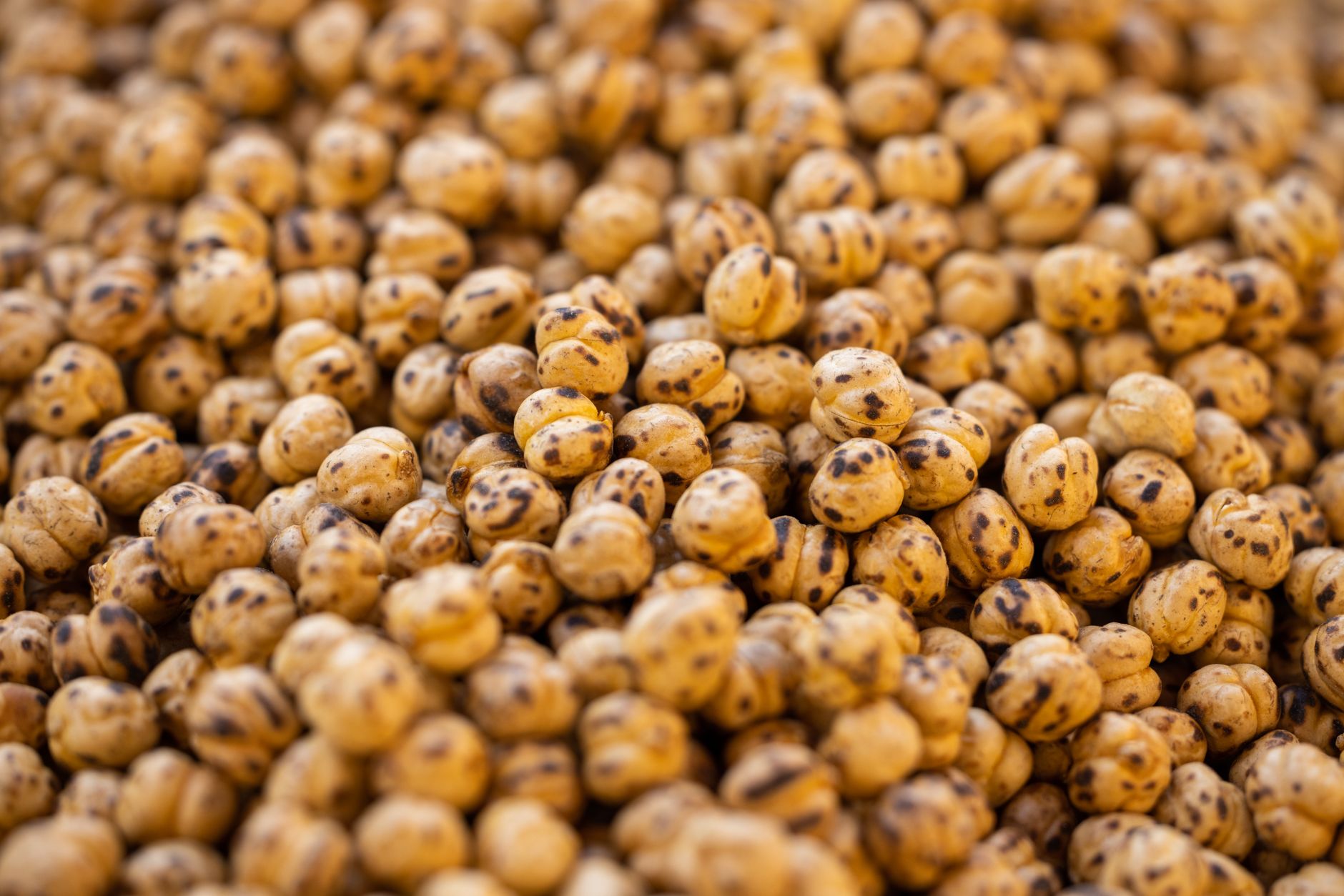 Global Chickpea Market 2021–2031: Size, Share, Trends and Forecast — report cover