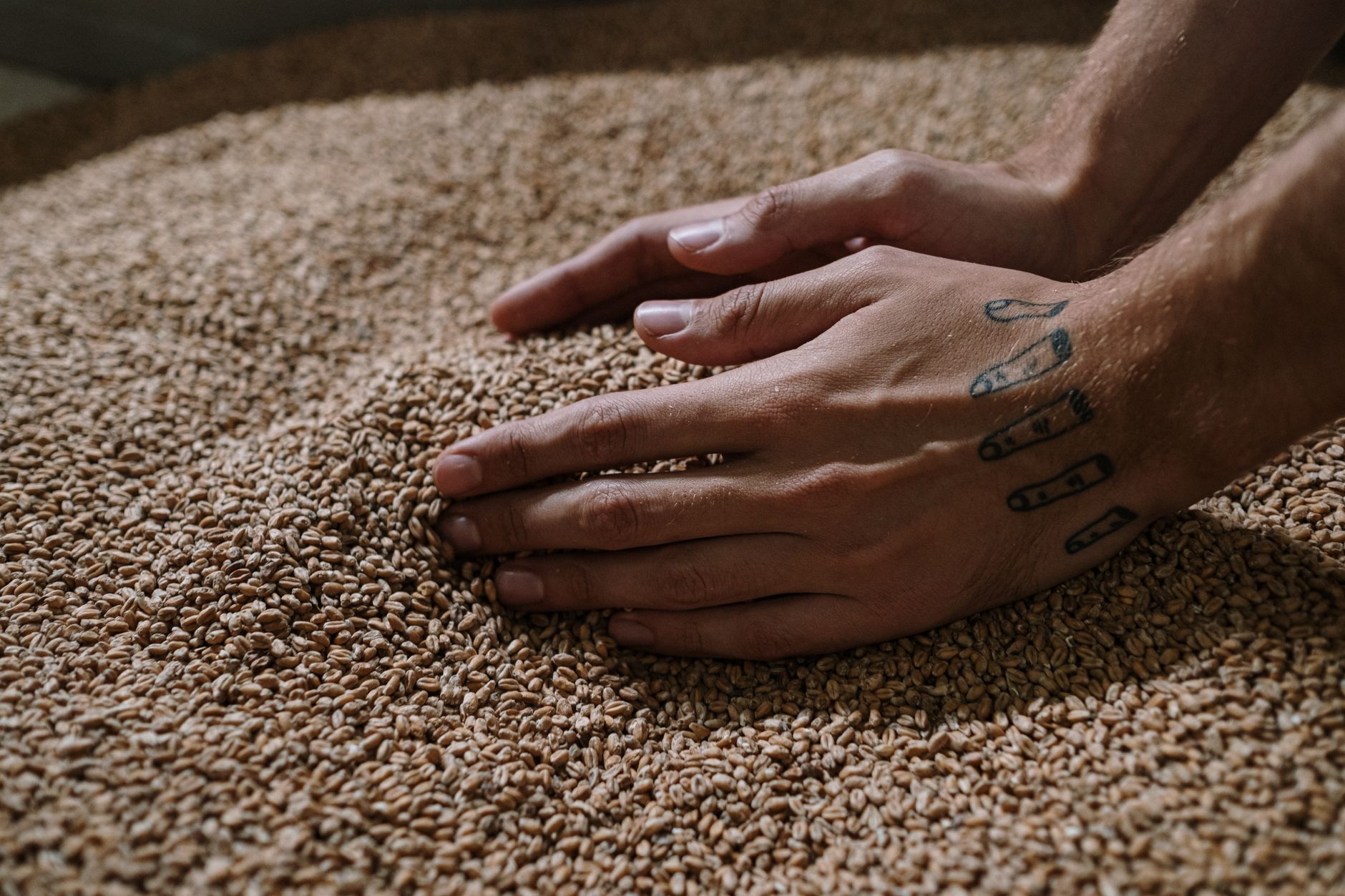 Global Malt Market 2021–2031: Size, Share, Trends and Forecast — report cover