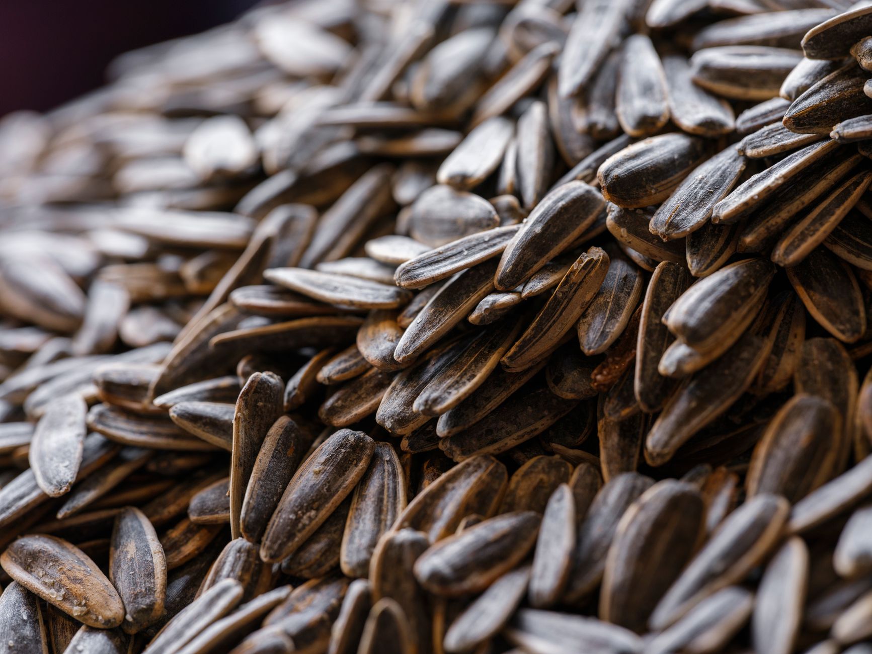 Global Sunflower Seeds Market 2021–2031: Size, Share, Trends and Forecast — report cover