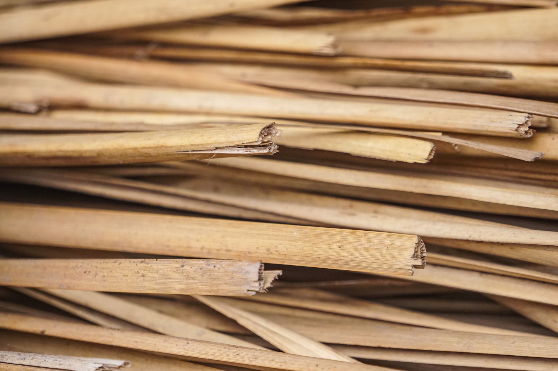 Global Wood Pulp Market 2021–2031: Size, Share, Trends and Forecast — report cover