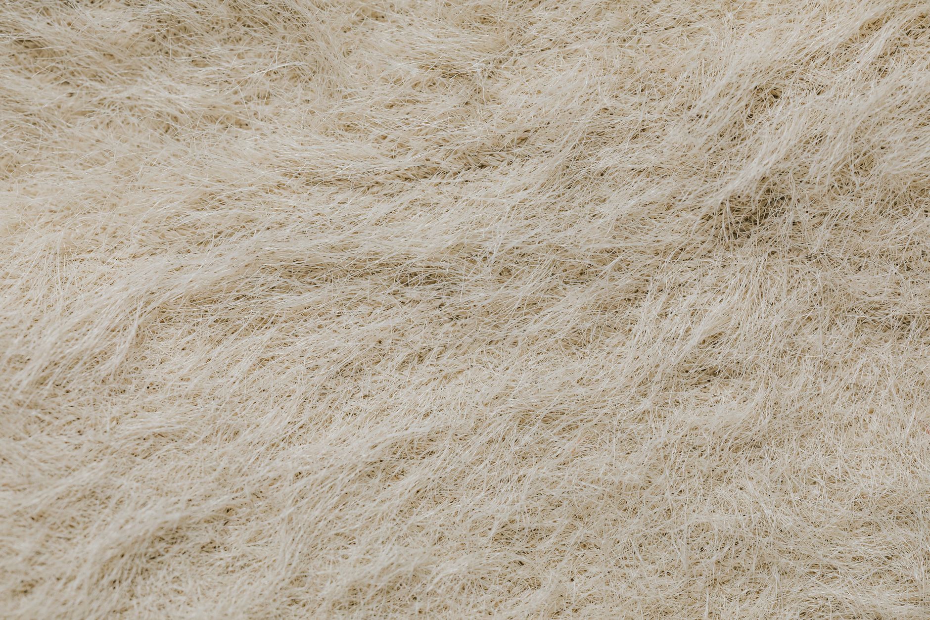 Global Wool Market 2021–2031: Size, Share, Trends and Forecast — report cover